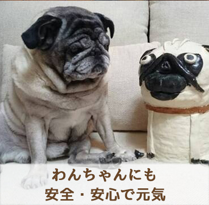 ペットにも安心 テニフルTT